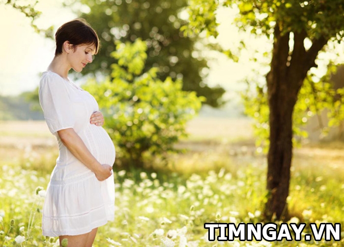 Tâm lý của bà bầu trong quá trình mang thai? Làm thế nào để luôn vui vẻ 2