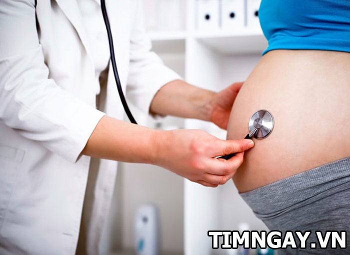 Bố mẹ cần phải biết thai nhi mấy tháng thì có tim thai?1