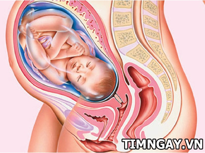 Cơ thể mẹ và thai nhi 38 tuần tuổi có những thay đổi quan trọng nào?2