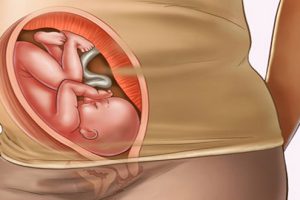 Thai 30 tuần tuổi- Giai đoạn quan trọng nhất của quá trình mang thai