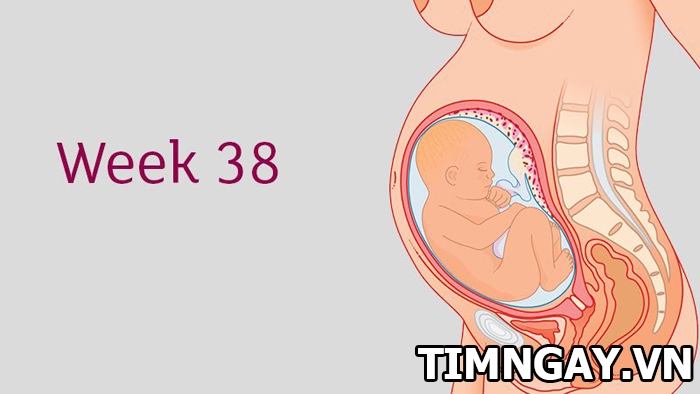 Thai 38 tuần gò nhiều có phải sắp sinh không hay là dấu hiệu nguy hiểm?4