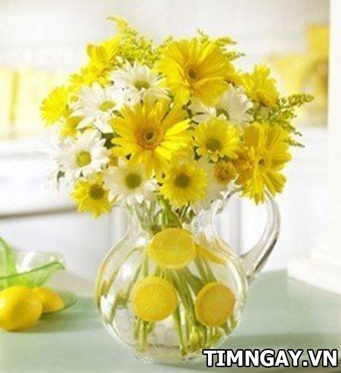 Tìm cách cắm hoa cúc vàng như thế nào để gặp nhiều may mắn? 4