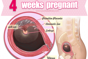 Mang thai tuần thứ 4 nên ăn gì và nên kiêng các bà bầu nên biết